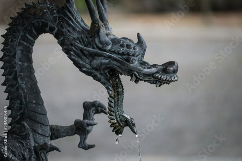 a dragon in zen temple