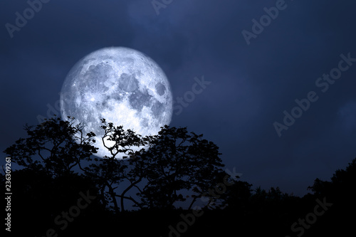 full moon back over silhouette leaves on tree in night sky