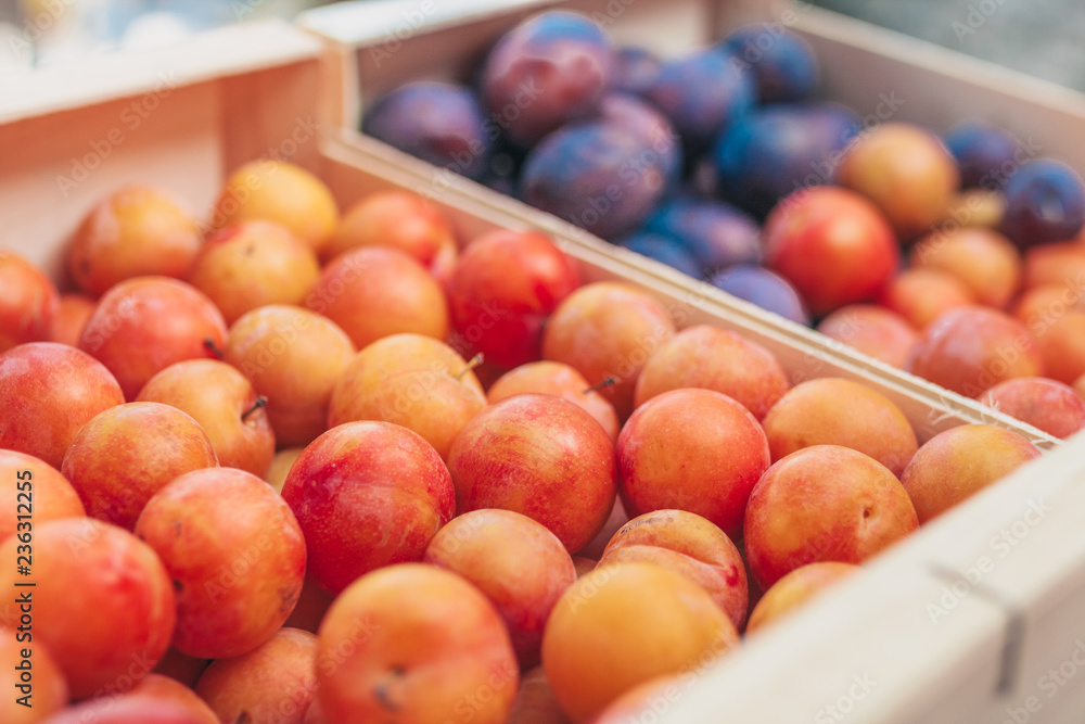 Beautiful fresh plums on the market