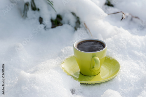 Winter holiday decoration concept: green cup of coffee with saucer on frozen snow covered wood log in forest preserve park.