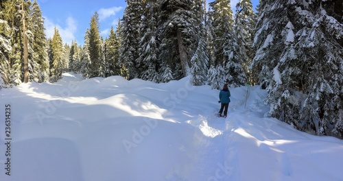 A young female snowshoer snowshoeing through the freshly snow covered forests of Cypress Mountain on a beautiful sunny winter day outside of Vancouver, British Columbia, Canada. photo