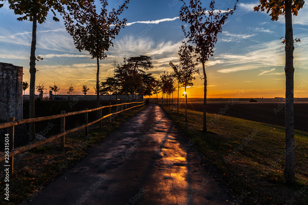 Country road at sunset