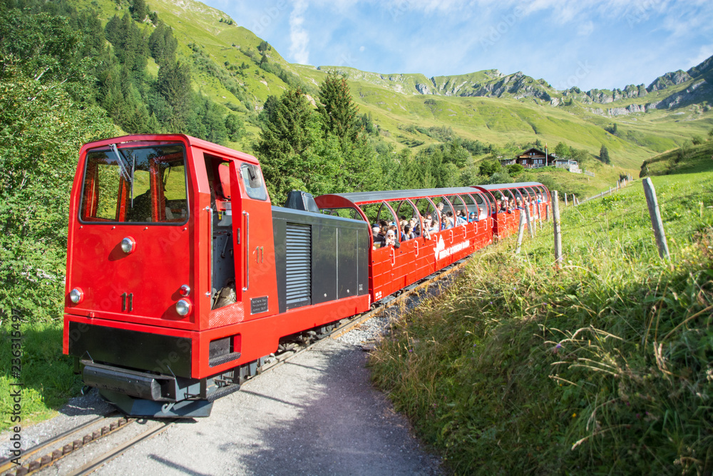 Brienzer Rothorn Bahn / Dampfzahnradbahn im Berner Oberland / Schweiz - obrazy, fototapety, plakaty 