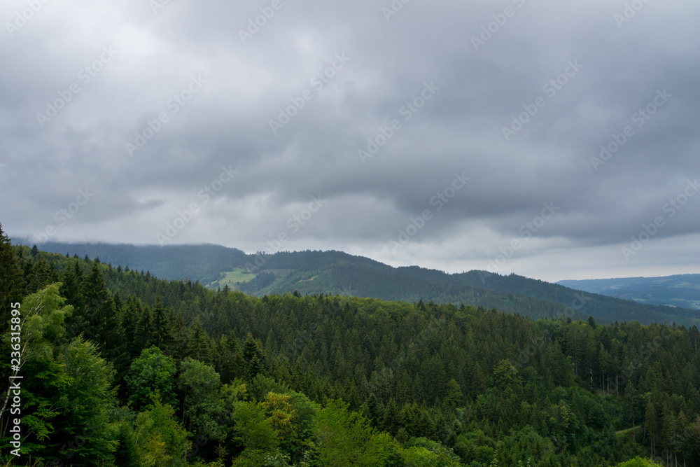 Germany, Dramatic rain cloud sky over intense green forest landscape