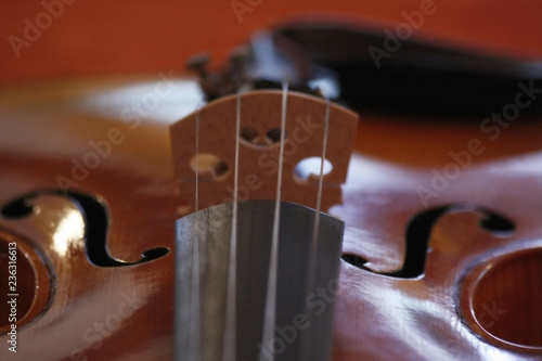 Violin detail with strings isolated on black.
