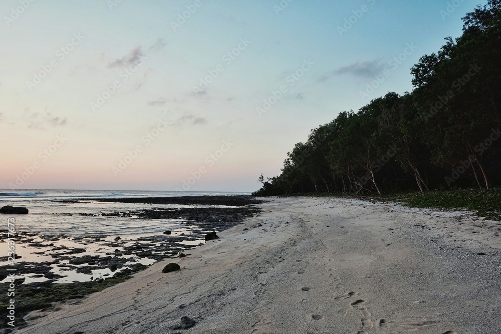 beautiful stunning tropical paradise pacific ocean sea shore beach with rainforest jungle at sunset