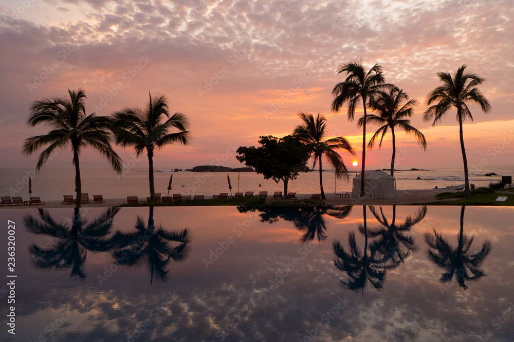 Tropical Paradise Palm Trees reflecting in a swimming pool on the beaches of Punta Mita, Mexico