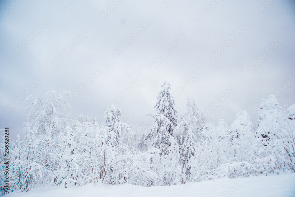 Winter Landscape with Stone Rock Covered with Snow - South Ural mountains, Russia Winter Landscape with Stone Rock Covered with Snow - South Ural mountains, Russia