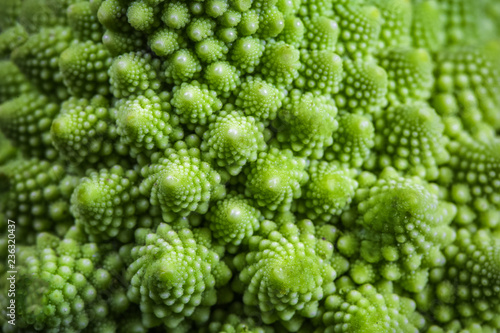 Romanesco broccoli cabbage marco background. Nature fractal surface with spital pattern, close-up shot, selective focus