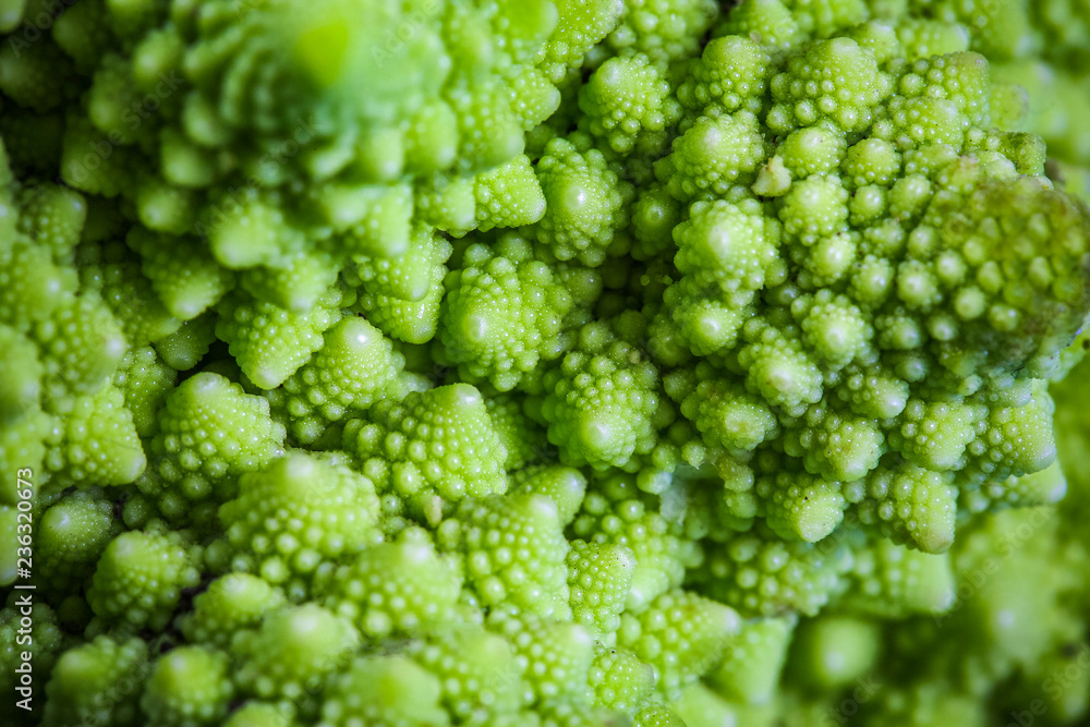 Romanesco broccoli cabbage marco background. flesh texture. Seasonal harvest crop local produce concept. Authentic lifestyle image Romanesco broccoli cabbage marco background. flesh texture. Seasonal harvest crop local produce concept. Authentic lifestyle image