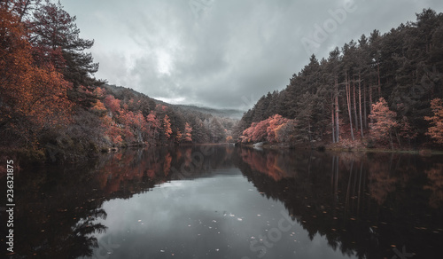 Amazing river between autumn forest and hills photo