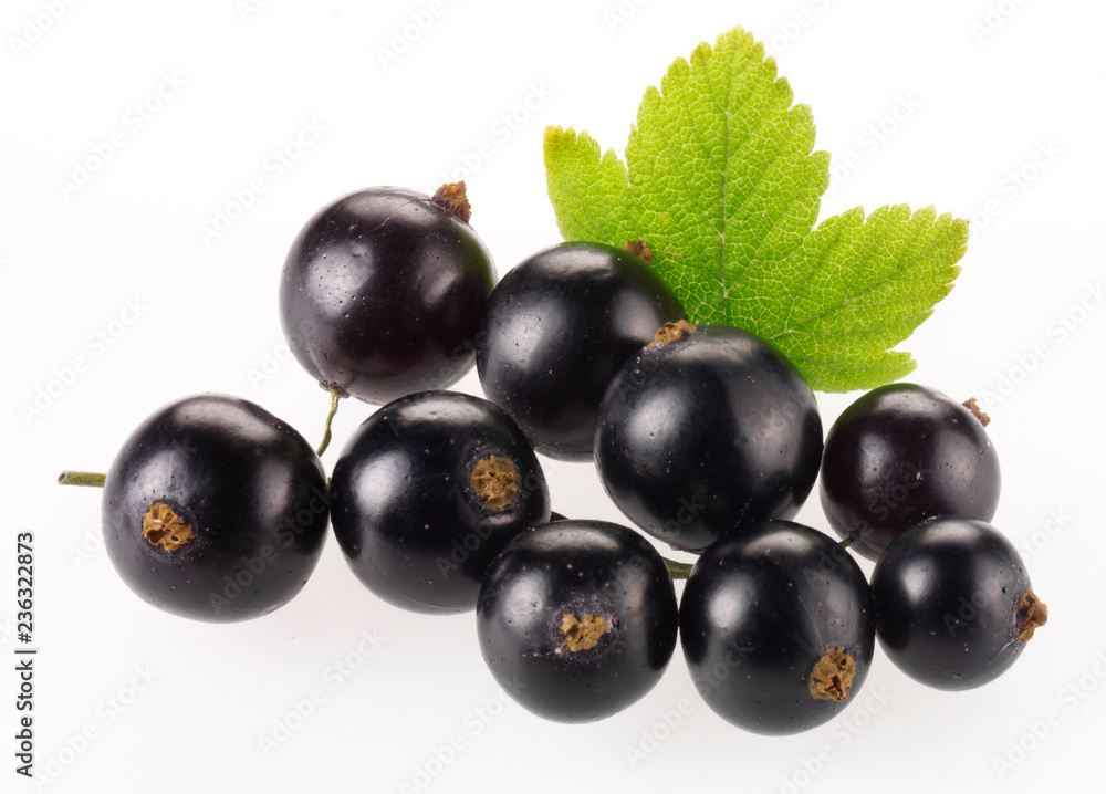 FRESH BLACKCURRANTS FRESH BLACKCURRANTS
