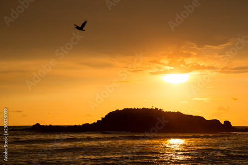 Pelican flying over the coastline of Punta Mita, Mexico at Sunset