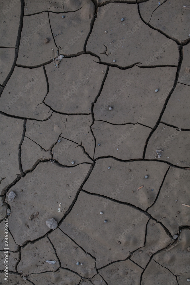 Obraz premium Dried mud cracked. Cracked clay