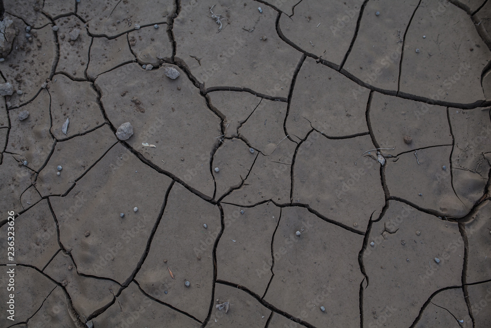 Obraz premium Dried mud cracked. Cracked clay