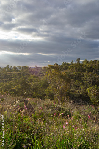 Horizontal landscape of the hills at mundaring in Perth at spring