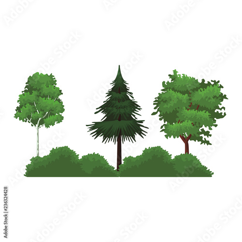 Trees nature landscape