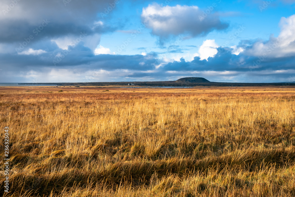 Meadow with a Hill and a Lava Field in Background in Iceland on a Sunny Autumn Morning