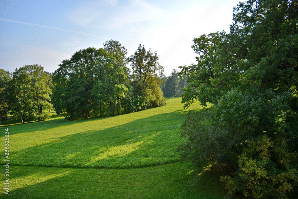 slope of the hill with a beautiful green lawn and trees illuminated by the bright rays of the evening sun under the blue sky