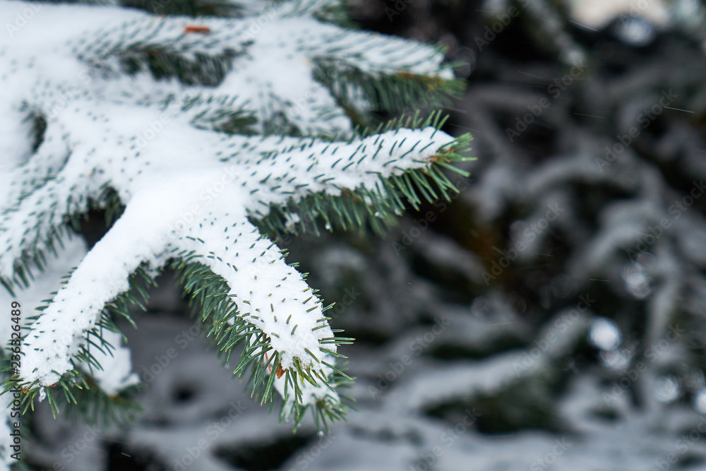 Image of ate under the snow.