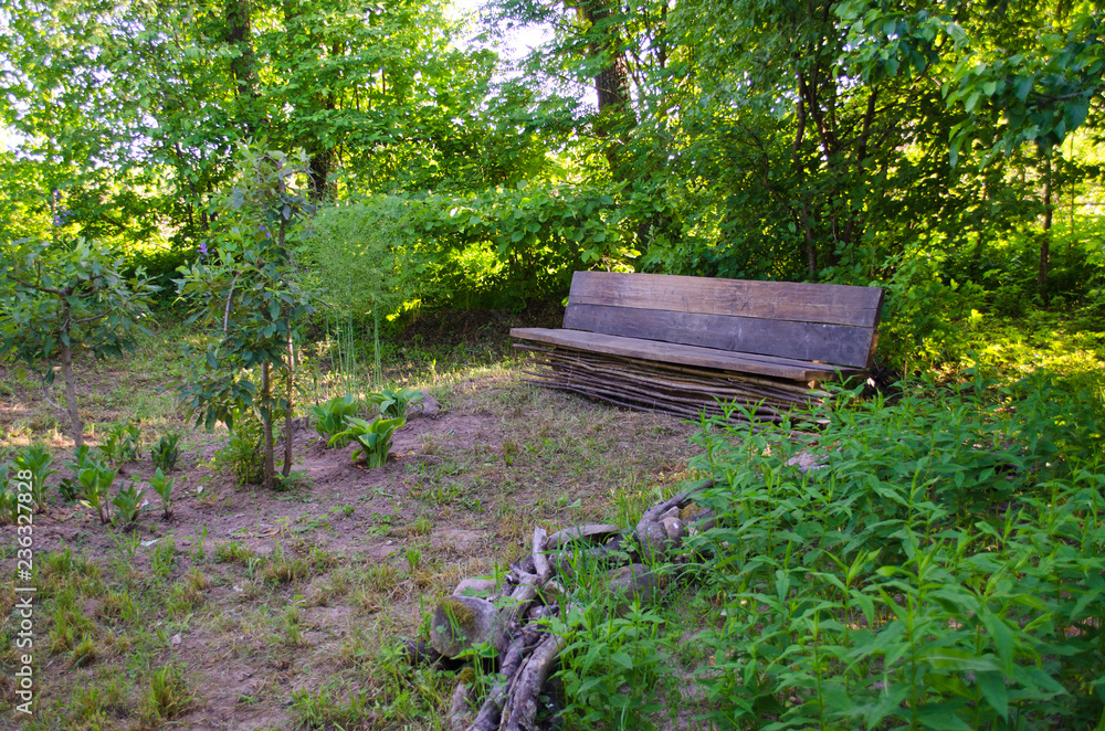 old wooden bench in the old garden