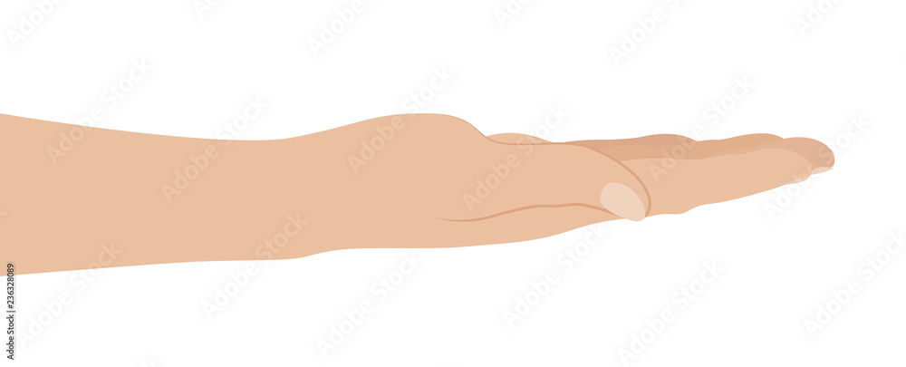 Woman hand on white background Woman hand on white background