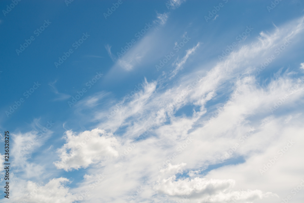 Fototapeta premium background of clouds against the blue sky