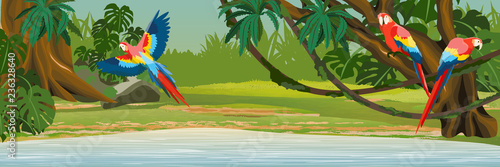 Macaw parrots sit on the branches and fly over the lake in the jungle. A tropical forest. Rainforests of Amazonia. Tree, epiphytes, creepers, banana trees and monsteras. Realistic Vector Landscape