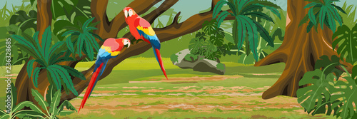 A pair of macaw parrot lovers sitting on a liana. Jungle A tropical forest. Rainforests of Amazonia. Tree, epiphytic ferns, creepers, banana trees and monsteras. Realistic Vector Landscape