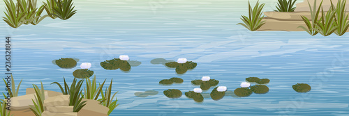 A pond with white water lilies and high coastal grass. Stones in the water. Wildlife of America and Europe. Realistic Vector Landscape