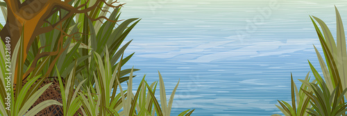 The shore of the pond with a branchy tree and tall grass. Wildlife of America and Europe. Realistic Vector Landscape