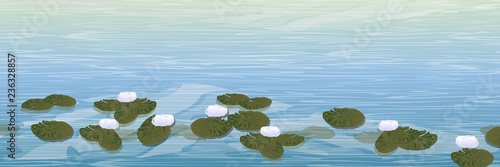 Water. A pond with white water lilies. Wildlife of America and Europe. Realistic Vector Landscape
