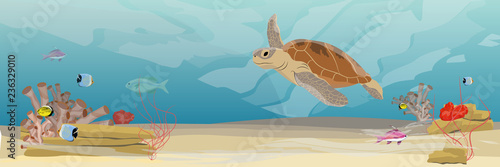 Green sea turtle swimming under water. Tropical underwater landscape. Warm water. Coral reef with coral, sea sponges, sand and stones. Realistic Vector illustration of a sea life