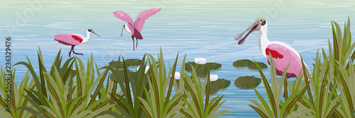 A flock of pink Roseate spoonbill birds in the water. Pond with white water lilies and grass. Animals of Florida, Chile and Argentina. Everglades national park. Rainforest. Realistic Vector Landscape