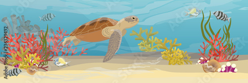 Green sea turtle swims under water. Tropical underwater landscape. The bottom of the coral reef with exotic fish, corals, sea sponges, sand and stones. Vector illustration of a sea life