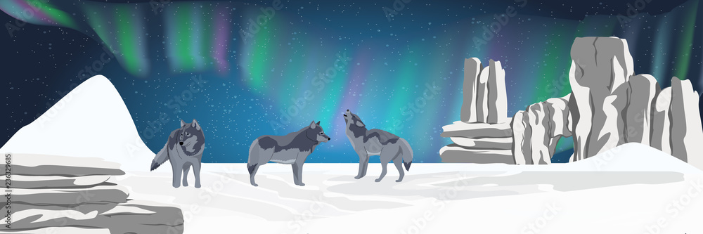 A pack of wild wolf stands in a snowy northern valley and looks at the night sky. Realistic Animals USA, Canada, Russia and Scandinavia. Vector landscape