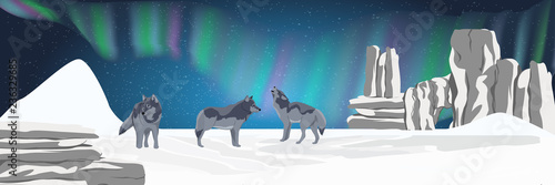 A pack of wild wolf stands in a snowy northern valley and looks at the night sky. Realistic Animals USA, Canada, Russia and Scandinavia. Vector landscape