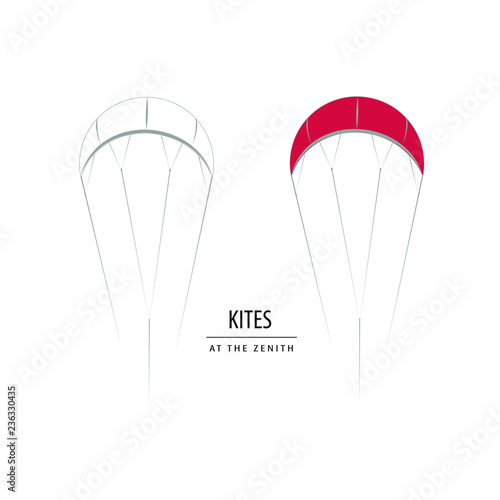 Kites at the zenith