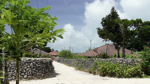 沖縄の原風景 photo