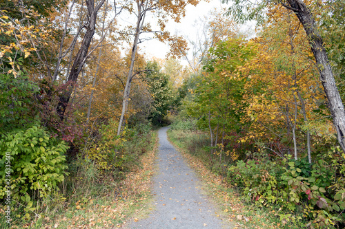 chemin d'automne haut en couleurs photo