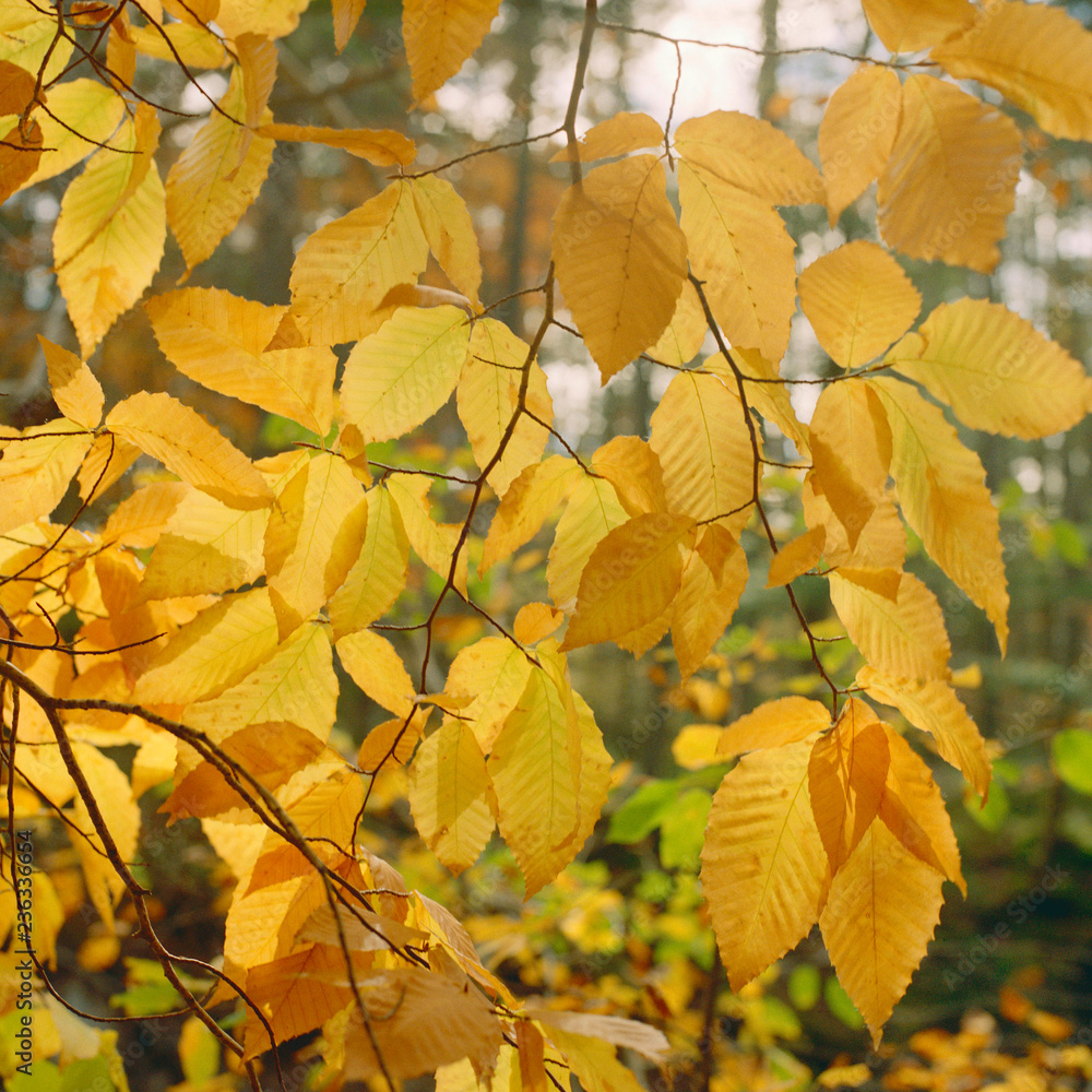 Fall_02 Fall_02