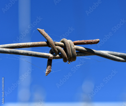 Old rusty barbed wire, close up. Electrified fence with barbed wire