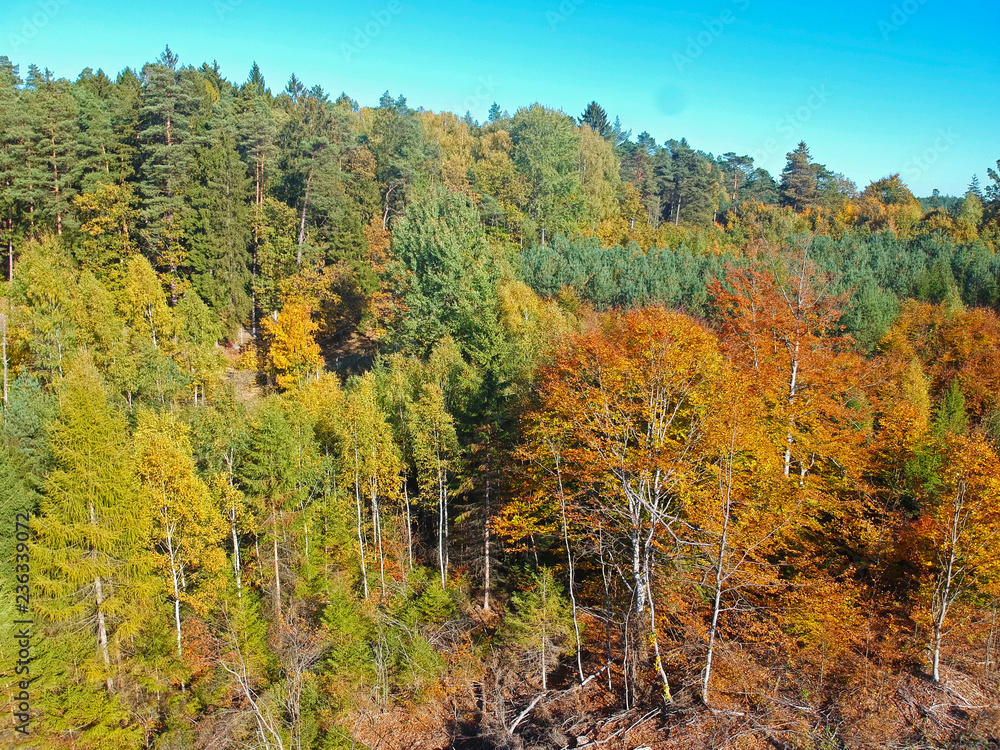 Aerial view on autumn forest with red, yellow, orange, brown and green color trees.