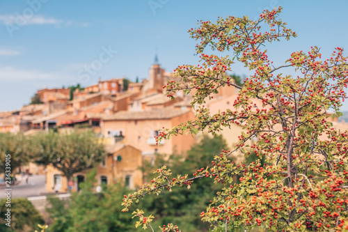 View of the city through the grass and flowers