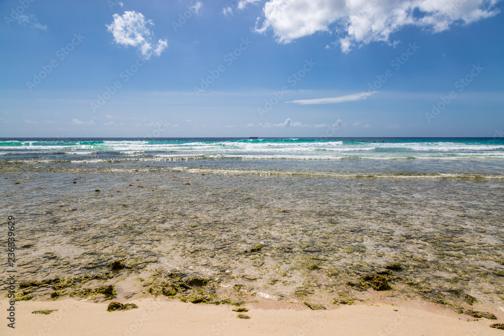 A Beach on the Island of Barbados, at Low Tide