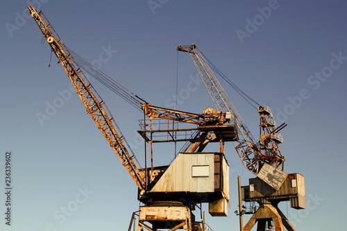 Cranes in skyline