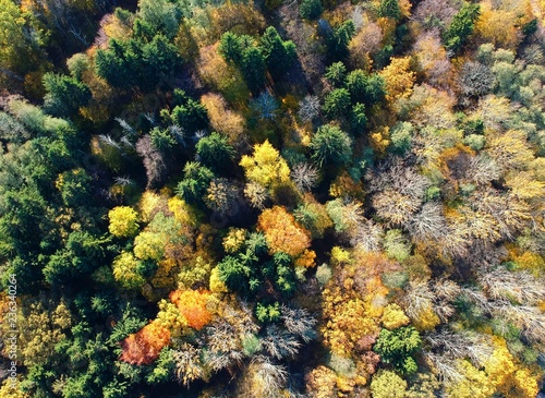 Aerial view on autumn forest with red, brown, yellow and orange trees