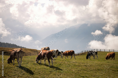 Lüsen, Südtirol  © Anna