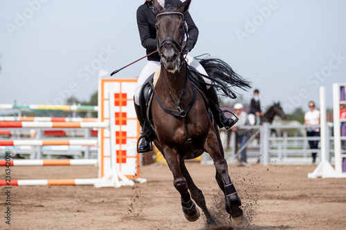 Horse and rider. Equestrian sport