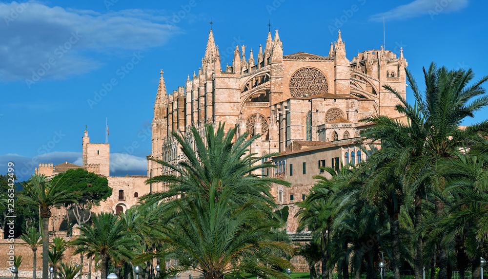 Lush palm trees and Cathedral of Palma de Mallorca or La Seu. Spain